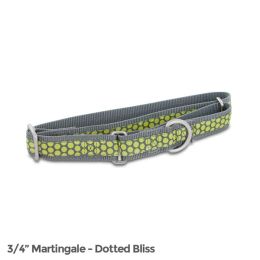 PetSafe Fido Finery Martingale Style Collar (3/4 Medium, Dotted Bliss)