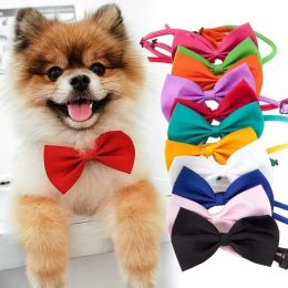Dogs Accessories Pet Kawaii Dog Cat Necklace Adjustable Strap for Cat Collar Pet Dog Bow Tie Puppy Bow Ties Dog Pet Supplies (Color: Black)